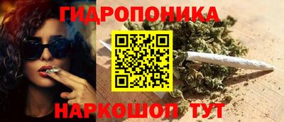 стаф Краснодар