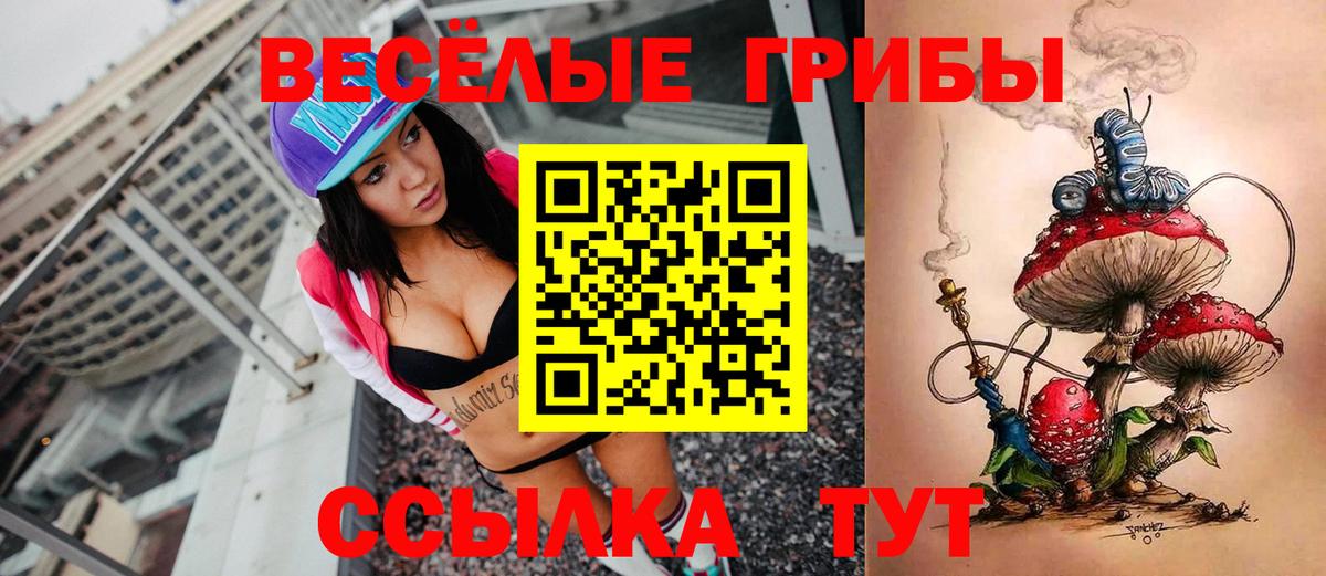 Заволжье  Галлюциногенные грибы прущие грибы  Вход с VPN 